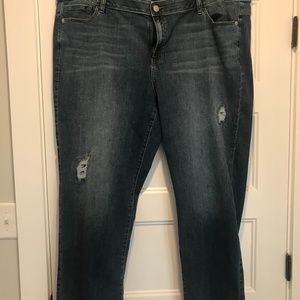 Lane Bryant Venezia Jeans (Size 28)